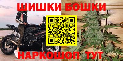 СК Лесосибирск