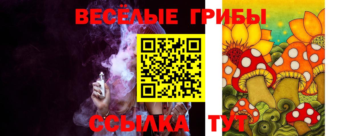 Галлюциногенные грибы MAGIC MUSHROOMS Зеленогорск