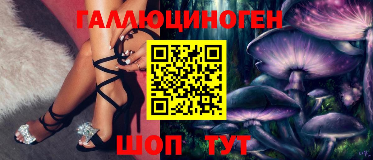 как найти   Вход с VPN  Зеленогорск  Псилоцибиновые грибы MAGIC MUSHROOMS 